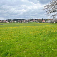 23-04-30 13-38-45 5242